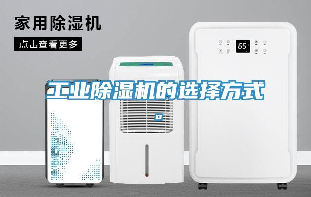 工業草莓视频污污污污的選擇方式。