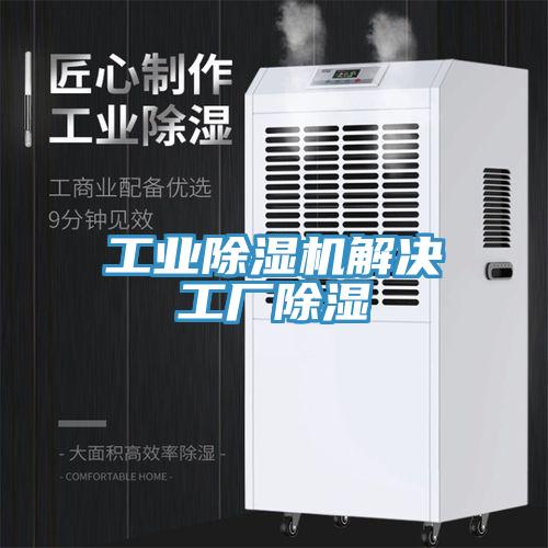 工業草莓视频污污污污解決工廠除濕