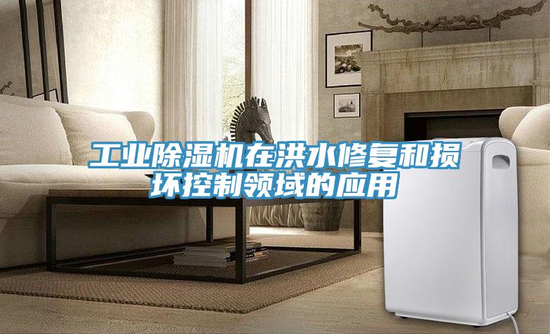 工業草莓视频污污污污在洪水修複和損壞控製領域的應用