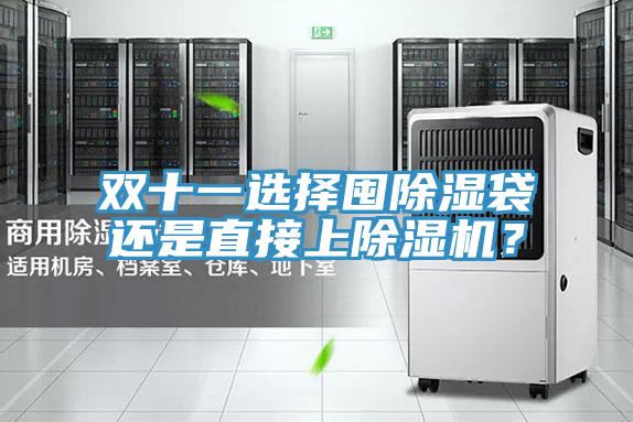 雙十一選擇囤除濕袋還是直接上草莓视频污污污污？