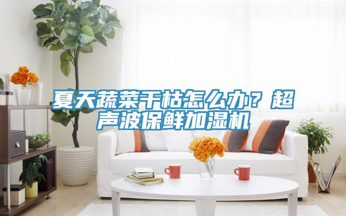 夏天蔬菜幹枯怎麽辦？超聲波保鮮加濕機