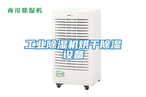 工業草莓视频污污污污烘幹除濕設備