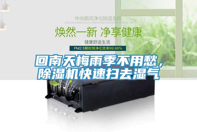 回南天梅雨季不用愁，草莓视频污污污污快速掃去濕氣