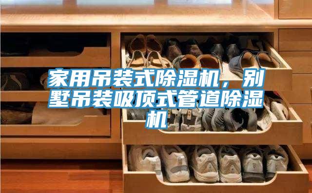 家用吊裝式草莓视频污污污污，別墅吊裝吸頂式管道草莓视频污污污污