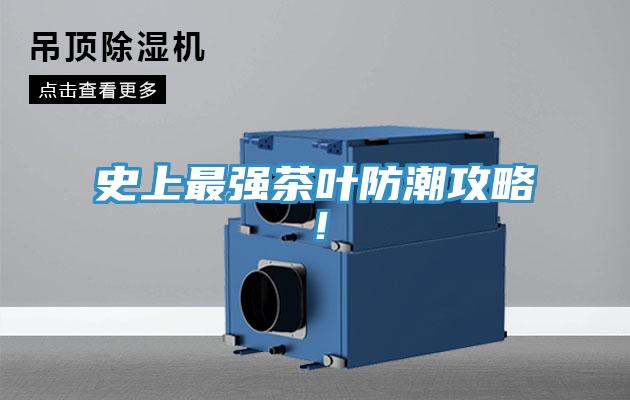 史上最強茶葉防潮攻略！