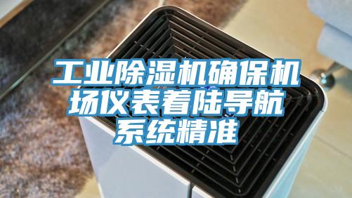 工業草莓视频污污污污確保機場儀表著陸導航係統精準