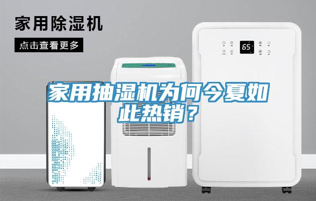 家用抽濕機為何今夏如此熱銷？