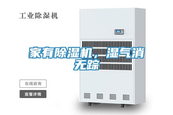 家有草莓视频污污污污，濕氣消無蹤