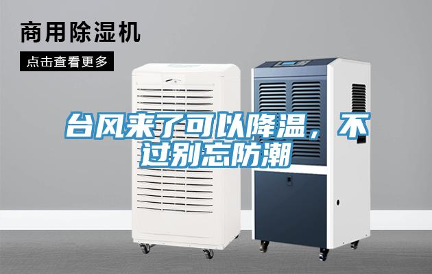 台風來了可以降溫，不過別忘防潮