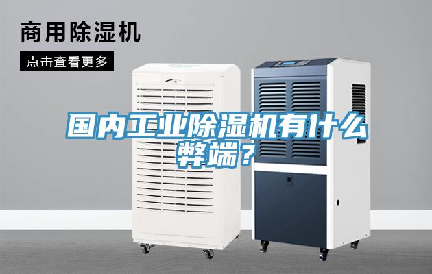 國內工業草莓视频污污污污有什麽弊端？