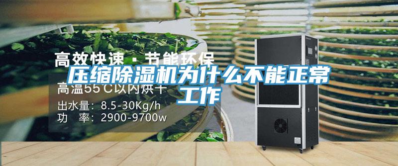 壓縮草莓视频污污污污為什麽不能正常工作