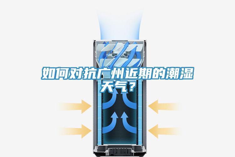 如何對抗廣州近期的潮濕天氣？