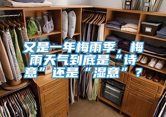 又是一年梅雨季，梅雨天氣到底是“詩意”還是“濕意”？