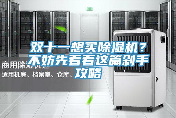 雙十一想買草莓视频污污污污？不妨先看看這篇剁手攻略