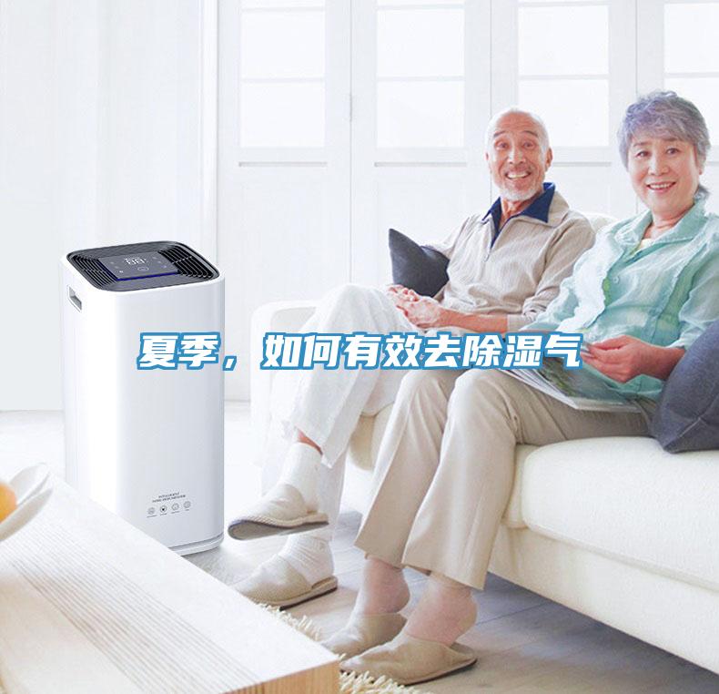 夏季，如何有效去除濕氣