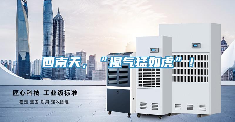 回南天，“濕氣猛如虎”！