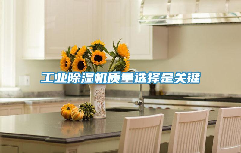 工業草莓视频污污污污質量選擇是關鍵