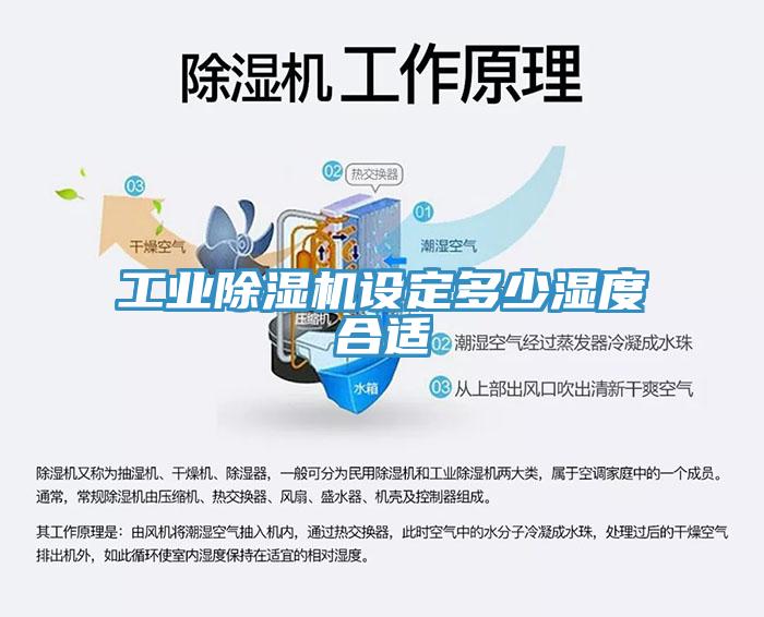 工業草莓视频污污污污設定多少濕度合適