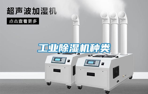 工業草莓视频污污污污種類
