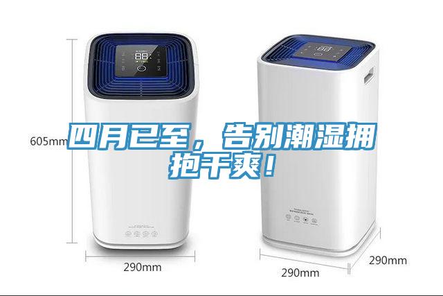 四月已至，告別潮濕擁抱幹爽！