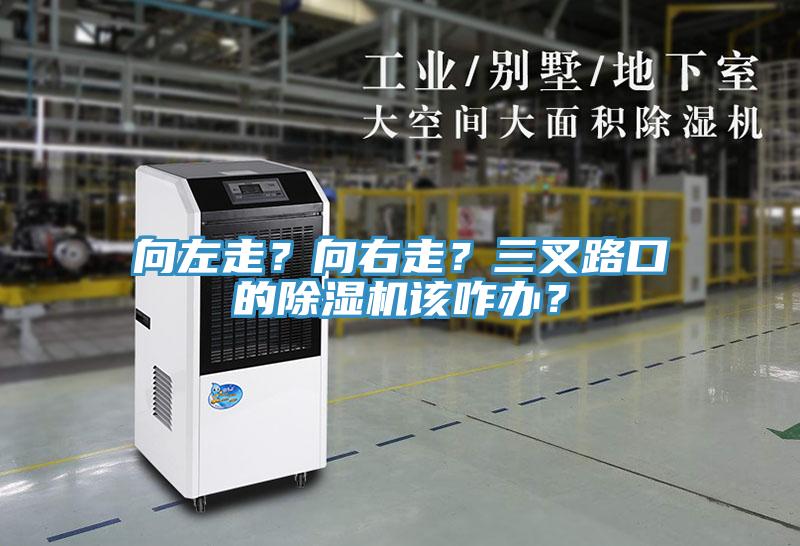 向左走？向右走？三叉路口的草莓视频污污污污該咋辦？