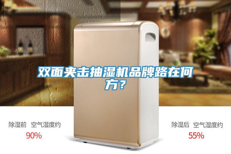 雙麵夾擊抽濕機品牌路在何方？