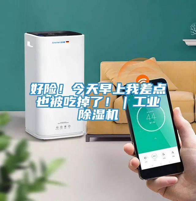 好險！今天早上我差點也被吃掉了！｜工業草莓视频污污污污