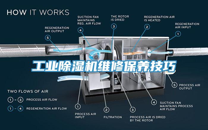 工業草莓视频污污污污維修保養技巧