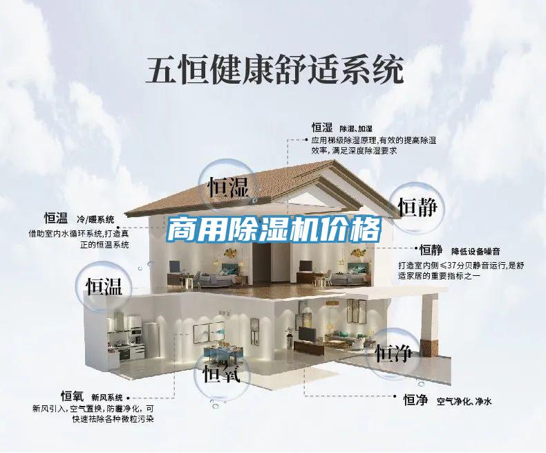 商用草莓视频污污污污價格