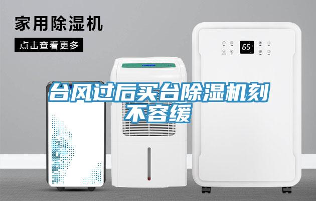 台風過後買台草莓视频污污污污刻不容緩