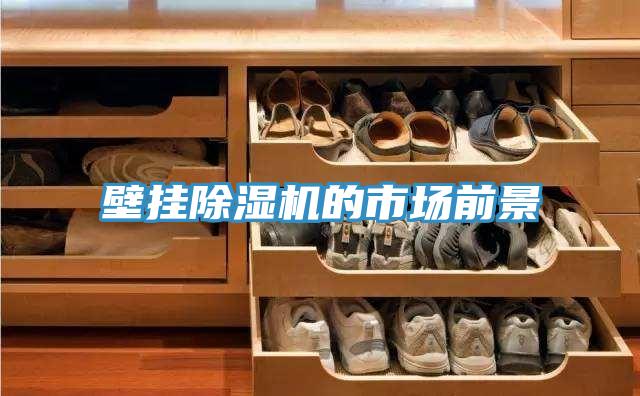 壁掛草莓视频污污污污的市場前景