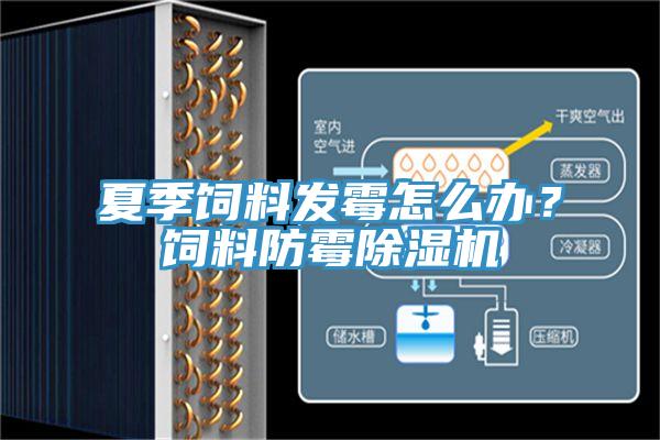 夏季飼料發黴怎麽辦？飼料防黴草莓视频污污污污