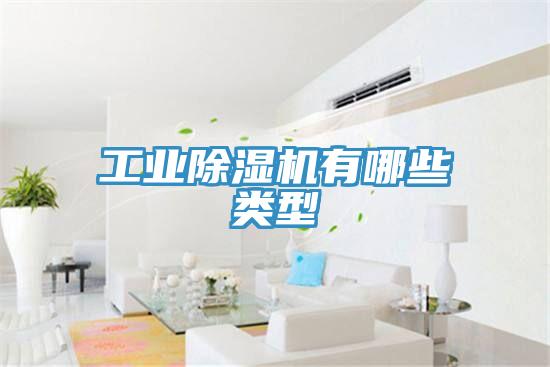 工業草莓视频污污污污有哪些類型