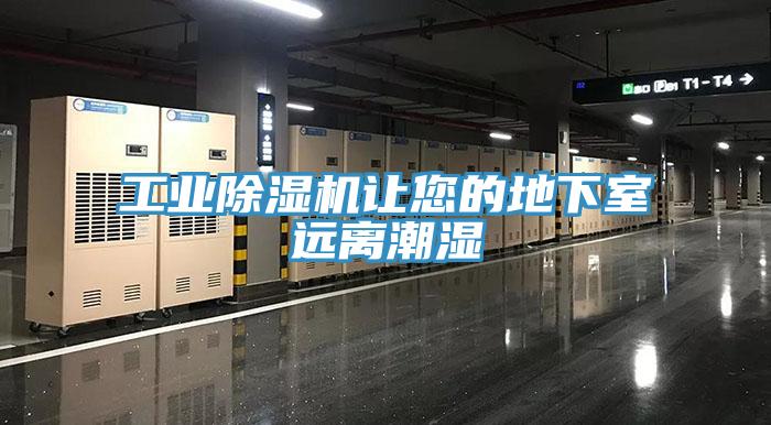 工業草莓视频污污污污讓您的地下室遠離潮濕