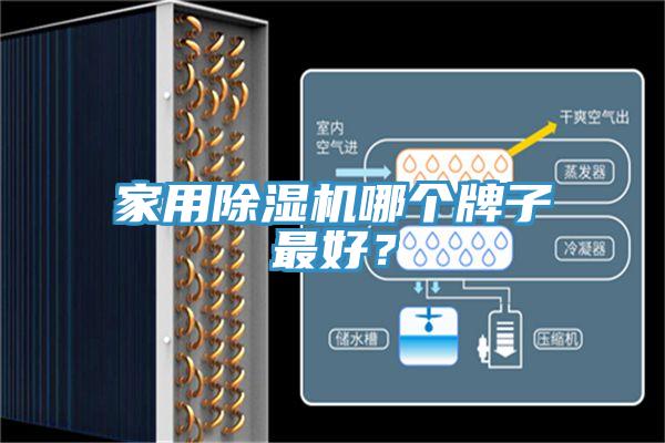 家用草莓视频污污污污哪個牌子最好？