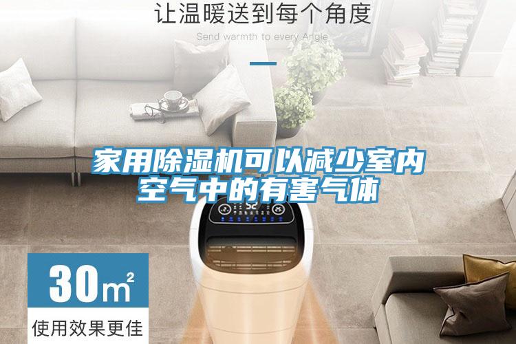 家用草莓视频污污污污可以減少室內空氣中的有害氣體