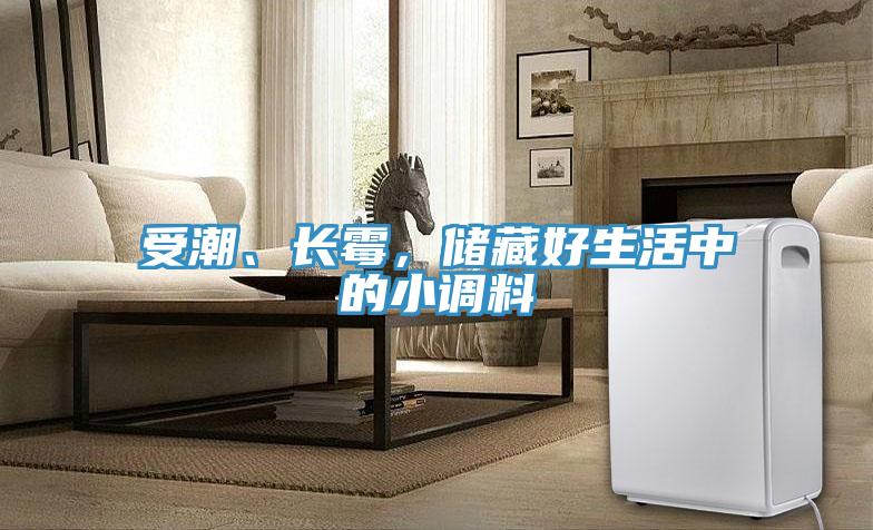 受潮、長黴，儲藏好生活中的小調料