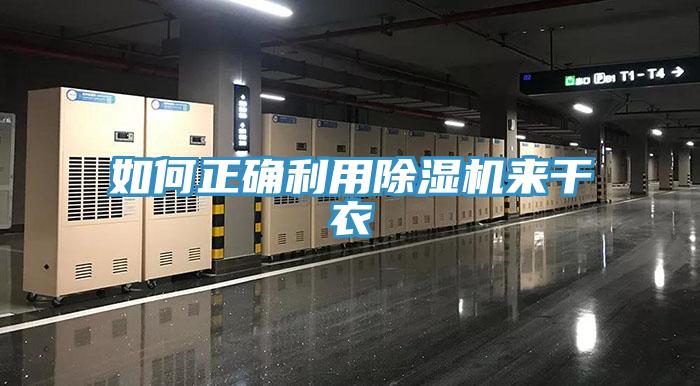 如何正確利用草莓视频污污污污來幹衣