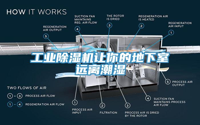 工業草莓视频污污污污讓你的地下室遠離潮濕