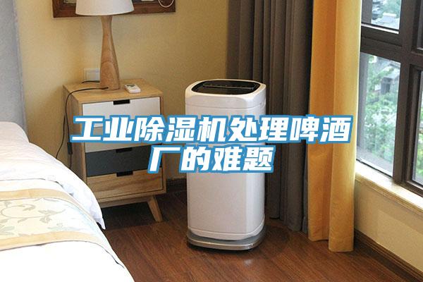 工業草莓视频污污污污處理啤酒廠的難題
