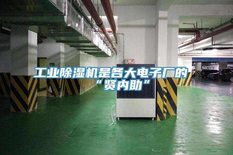 工業草莓视频污污污污是各大電子廠的“賢內助”