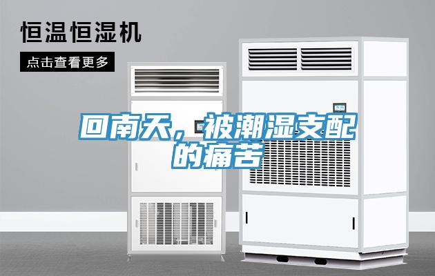 回南天，被潮濕支配的痛苦