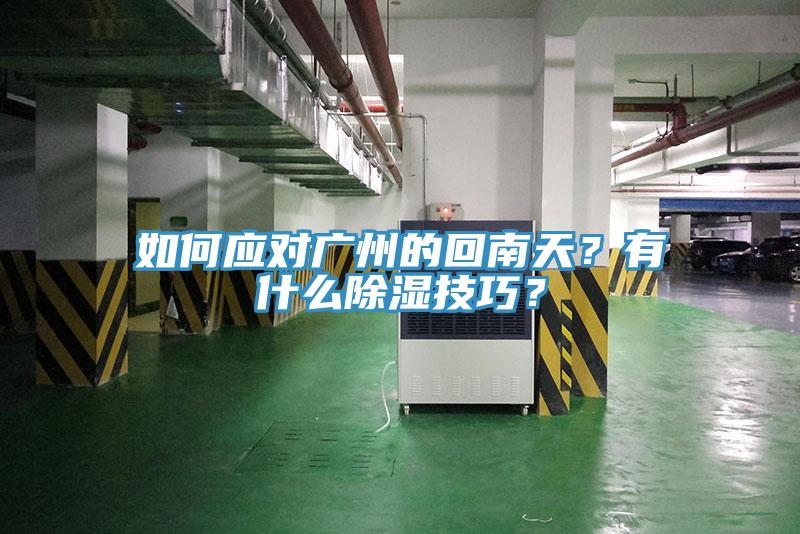 如何應對廣州的回南天？有什麽除濕技巧？