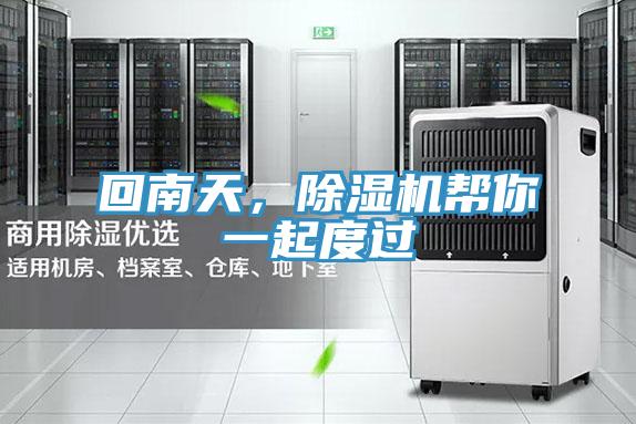 回南天，草莓视频污污污污幫你一起度過