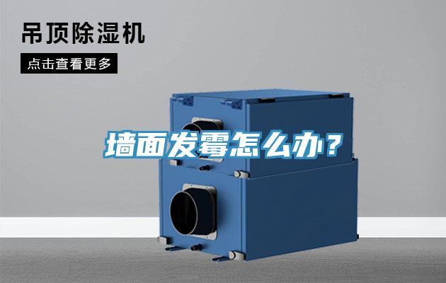牆麵發黴怎麽辦？