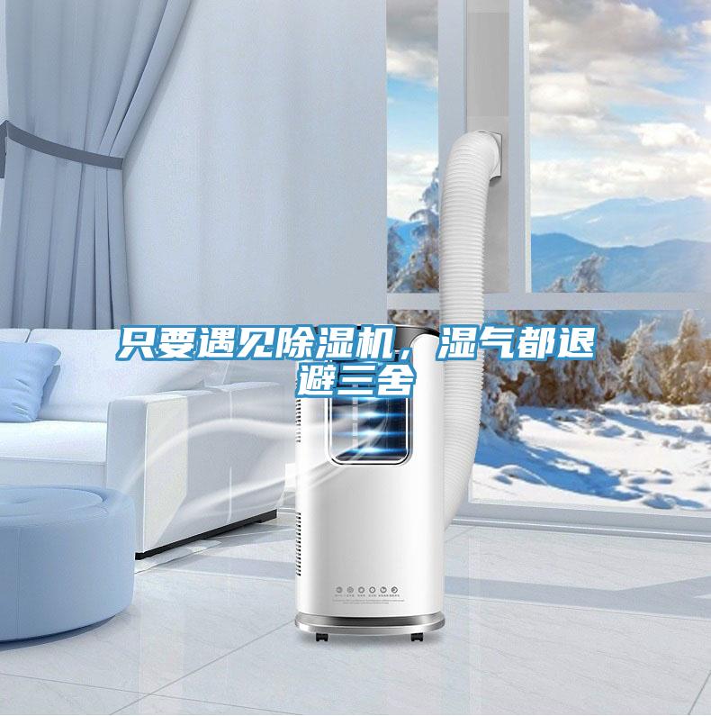 隻要遇見草莓视频污污污污，濕氣都退避三舍