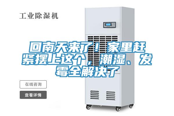 回南天來了！家裏趕緊擺上這個，潮濕、發黴全解決了