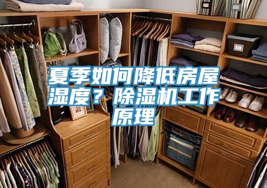 夏季如何降低房屋濕度？草莓视频污污污污工作原理
