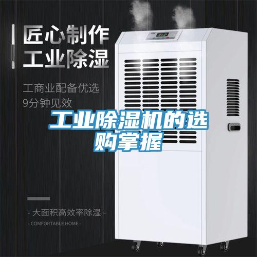 工業草莓视频污污污污的選購掌握