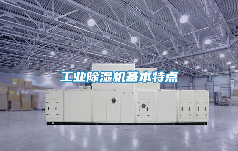 工業草莓视频污污污污基本特點